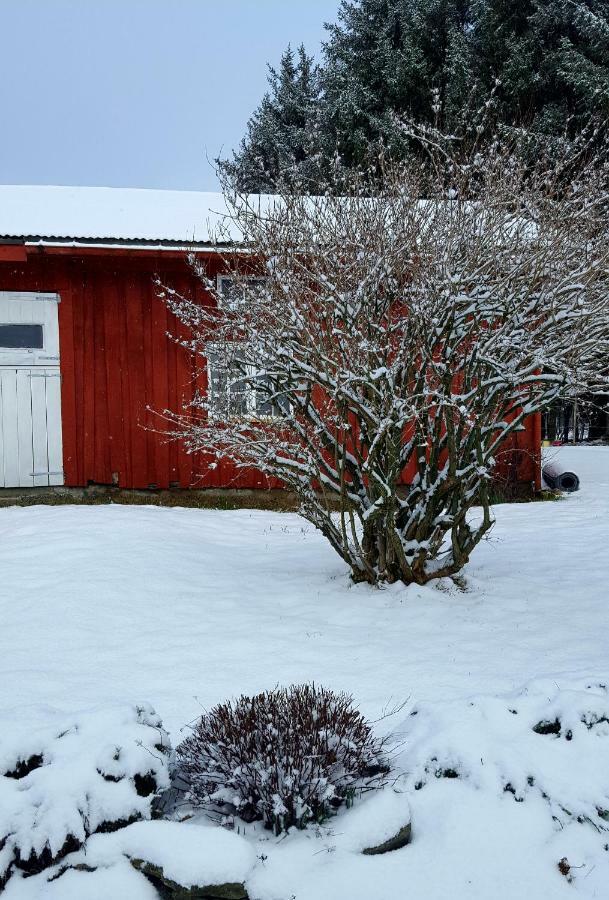 Apartamento Kjorsvik Ovre Tornes Exterior foto