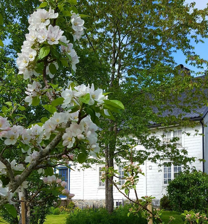 Apartamento Kjorsvik Ovre Tornes Exterior foto